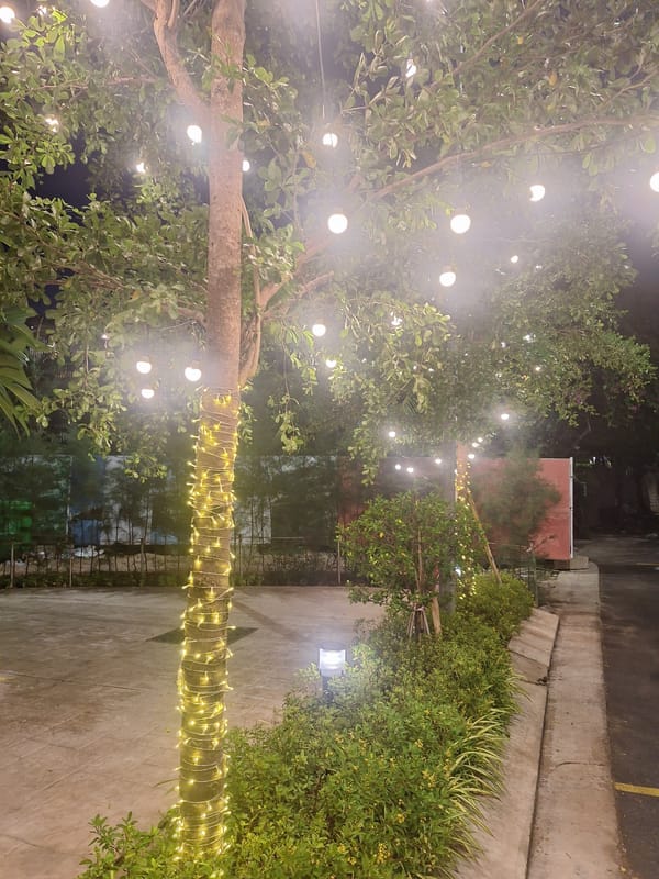 Nha Trang beachfront sculptures, resort lights, and coastal scenes