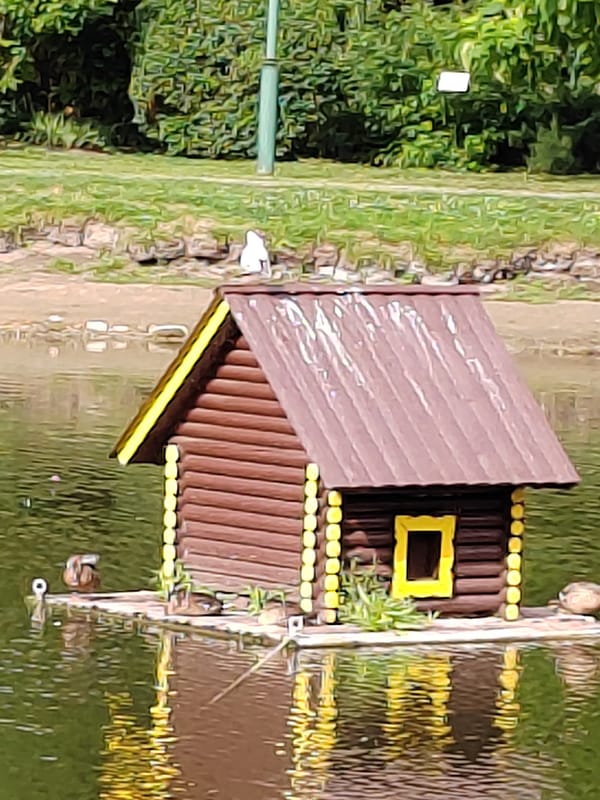 Afternoon at a Brest park pond, birds and quiet corners
