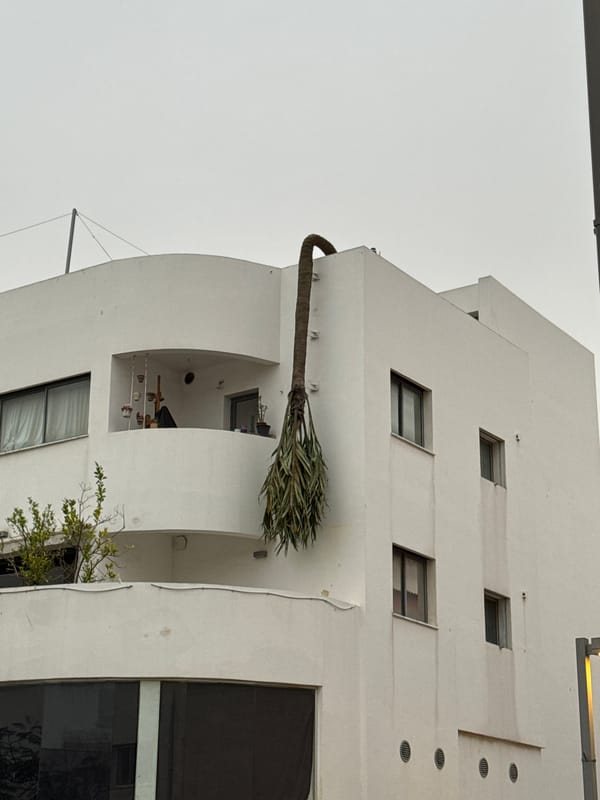 Rooftop selfie and architectural documentation in Tel-Aviv