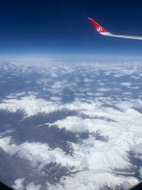 Turkish Airlines passenger photographs Earth's curvature from airplane window