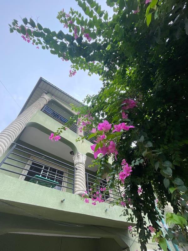 Morning photo session with bougainvillea flowers in Ado, Nigeria