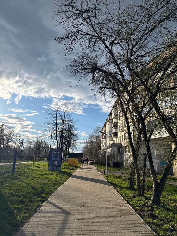 Young woman documents spring afternoon outing with selfies, nature shots