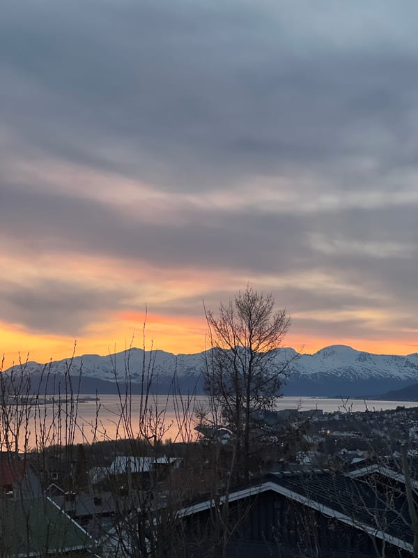 Evening bus rides capture Tromsø sunset views