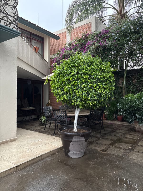 Evening documentation of residential and recreational areas in Mexican suburb