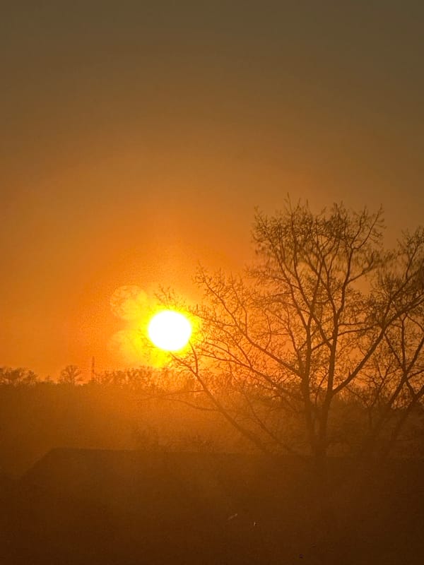 Domestic moments captured during spring afternoon in Biysk, Russia