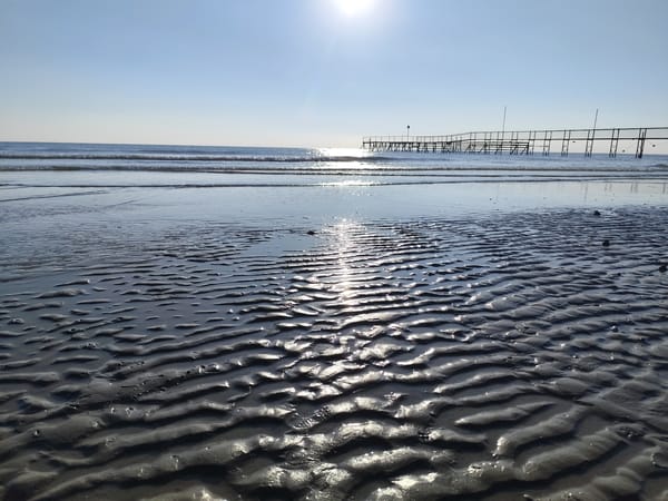 Low tide reveals sand patterns and a jellyfish on Rimini's shore