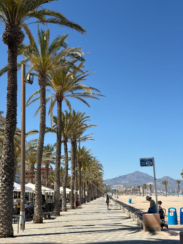 Afternoon scenes captured along Alicante's palm-lined coastal promenade