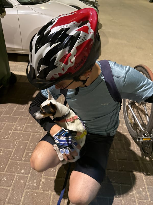 Cyclist stops to interact with dog in Petah Tikva