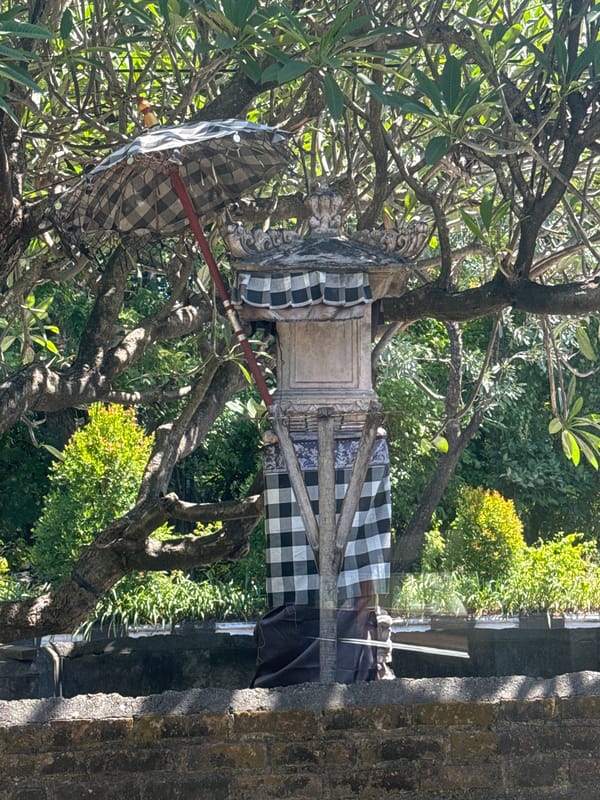 Morning scenes documented across Denpasar locations