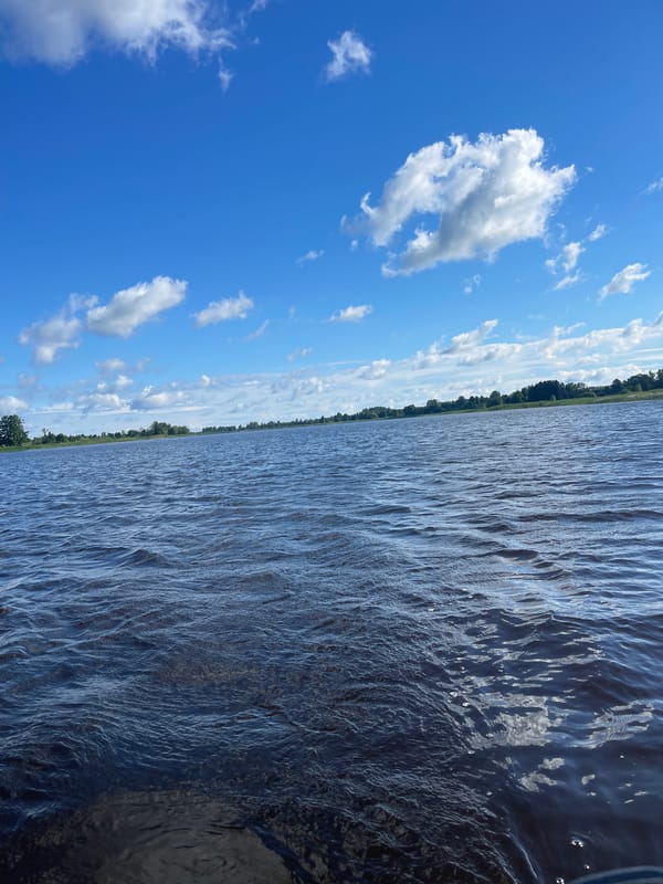 Quiet morning fishing on a Latvian lake