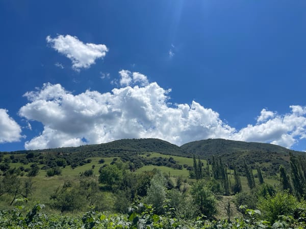 Green mountain slopes and clear skies in Taran-Bazar, Kyrgyzstan