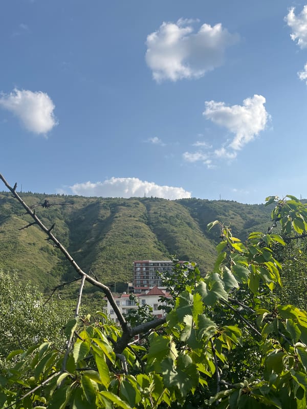 Hilltop views of Tbilisi's skyline and green landscape
