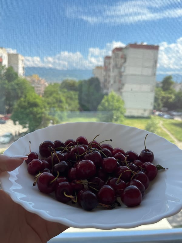 Quiet domestic afternoon captured in Plovdiv, Bulgaria