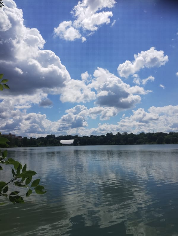 Quiet morning at a Sumy lakeside park: fishing, jogging, dog walks