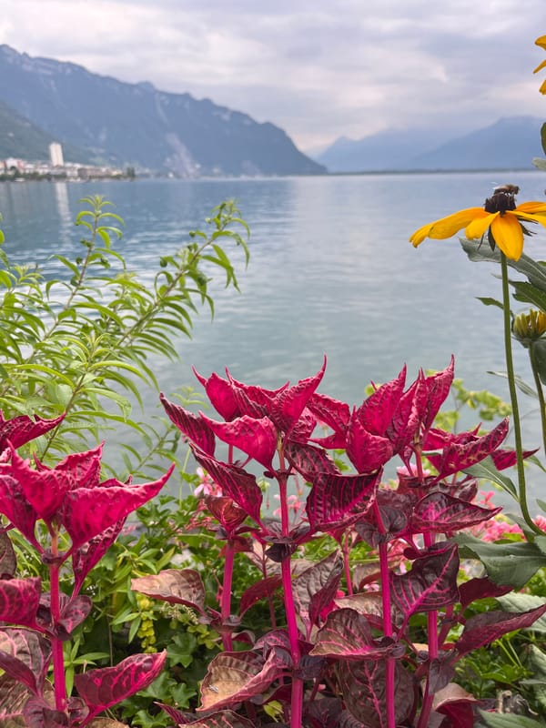 Afternoon stroll along the Montreux lakefront