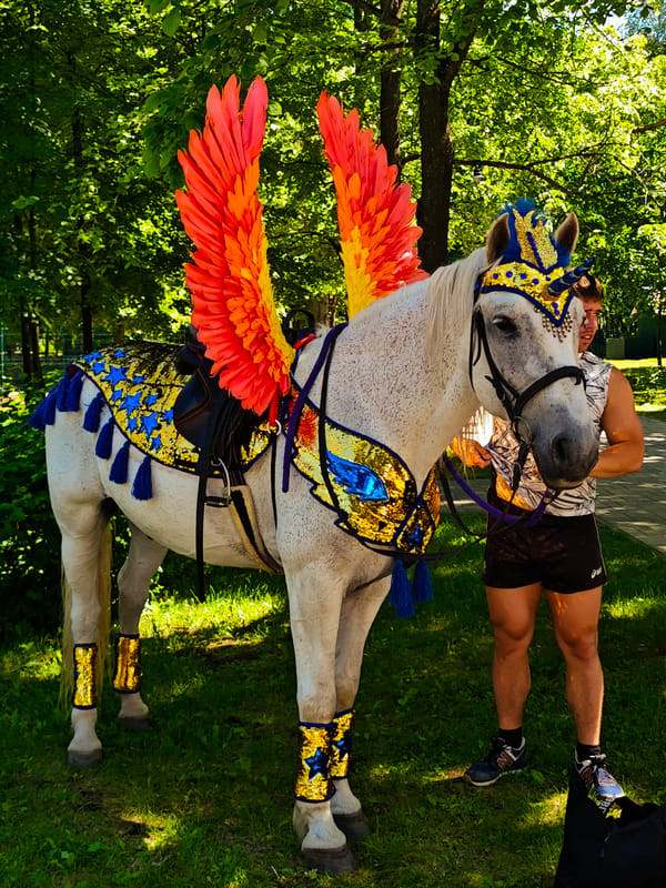 Cultural festival with costumed horse, performers draws crowds in Dubna