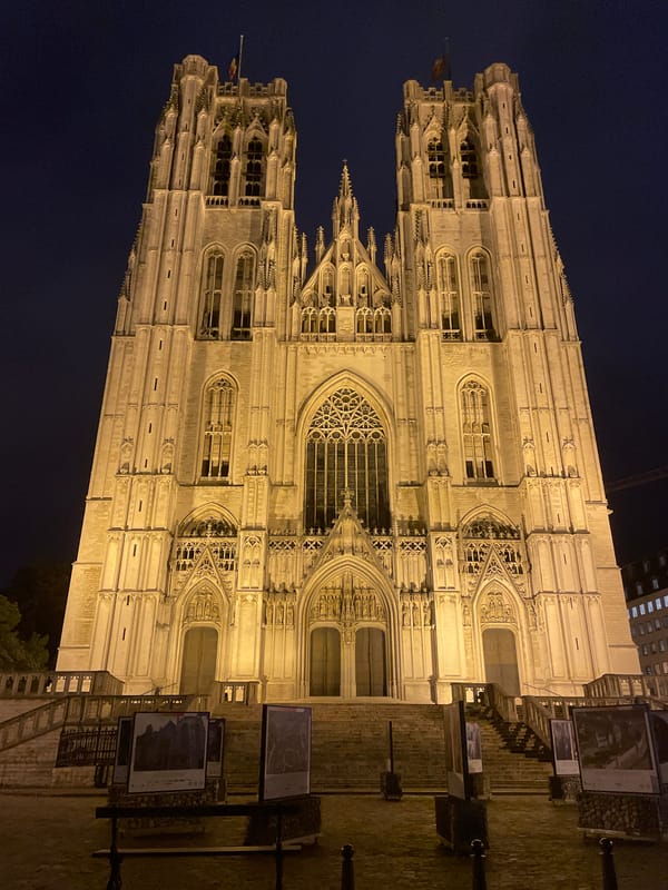 Evening stroll captures illuminated Brussels landmarks and cultural scenes
