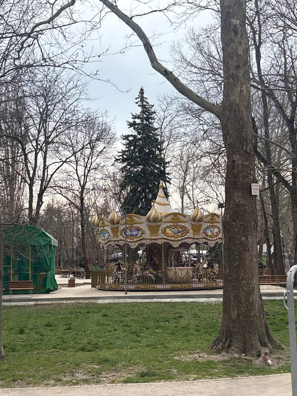 Carousel spotted in Simferopol park amid bare trees
