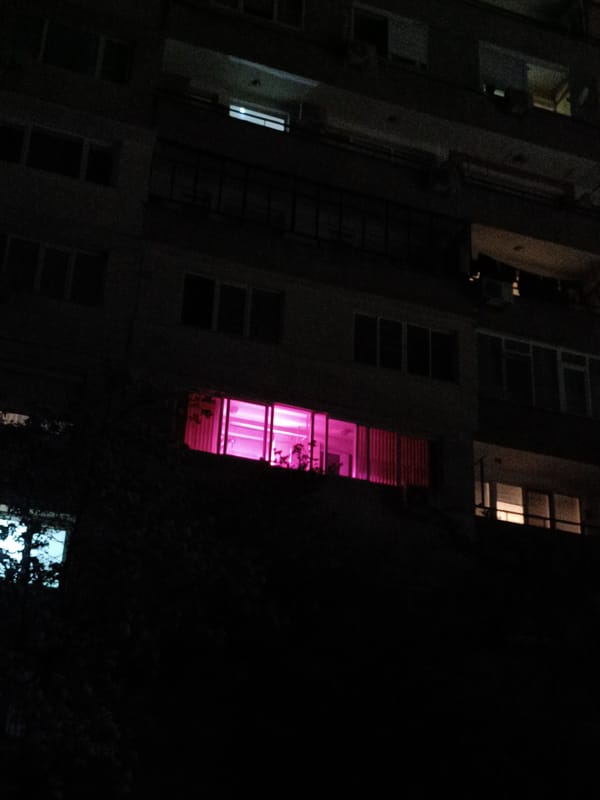 Spring flower arranging session documented in Pleven, Bulgaria