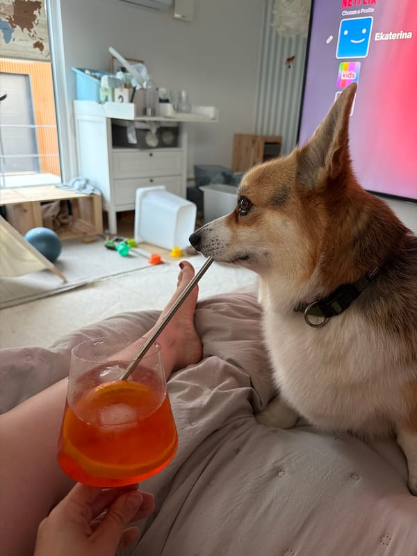 Family shares quiet evening with corgi in Gangloff home