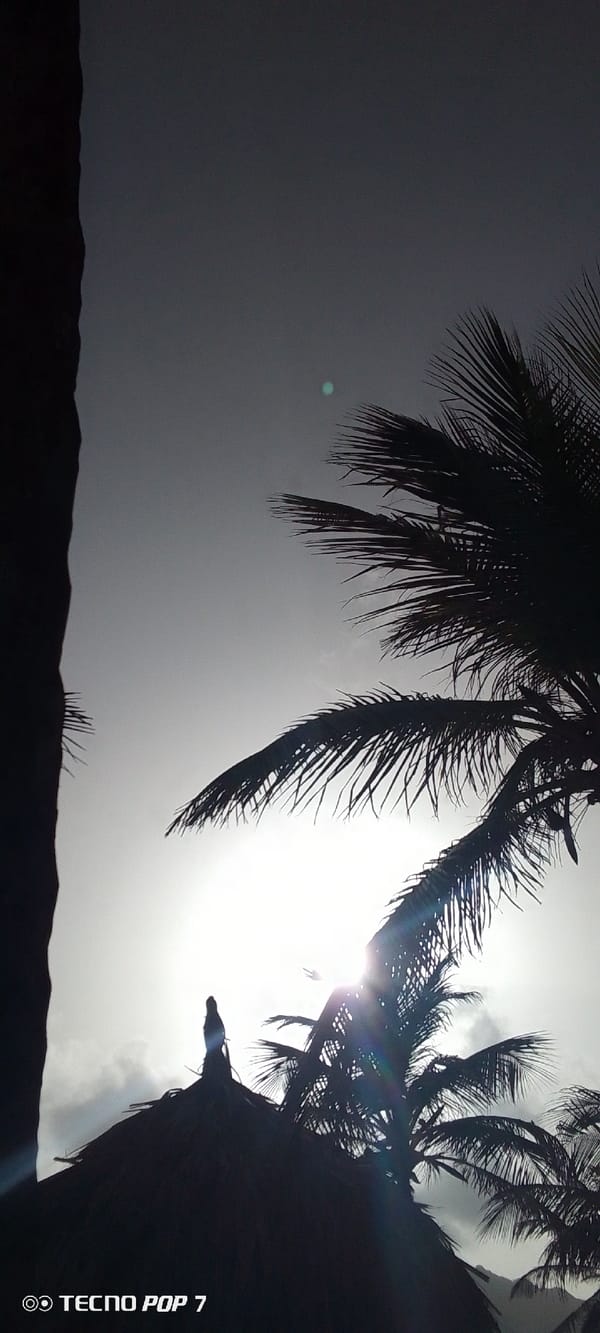 Tropical beach scenes documented in Pedro González, Venezuela