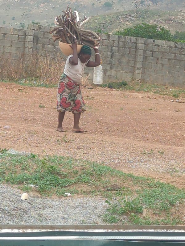 Woman carries firewood bundle in Karsana 2, Nigeria