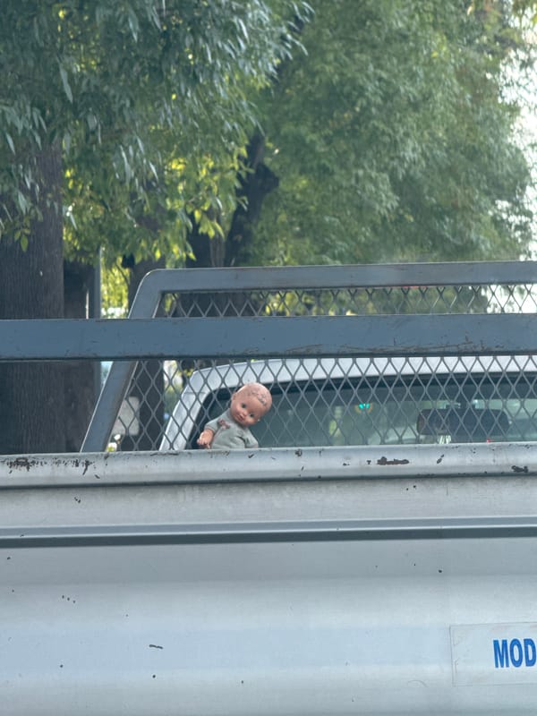 Doll spotted behind truck grate in Puebla, Mexico
