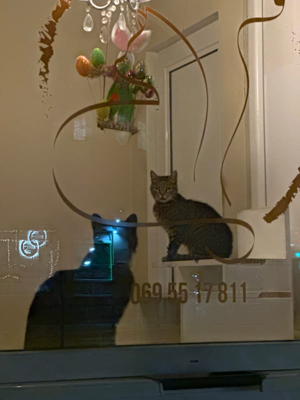 Woman takes selfie in elevator in Novi Sad