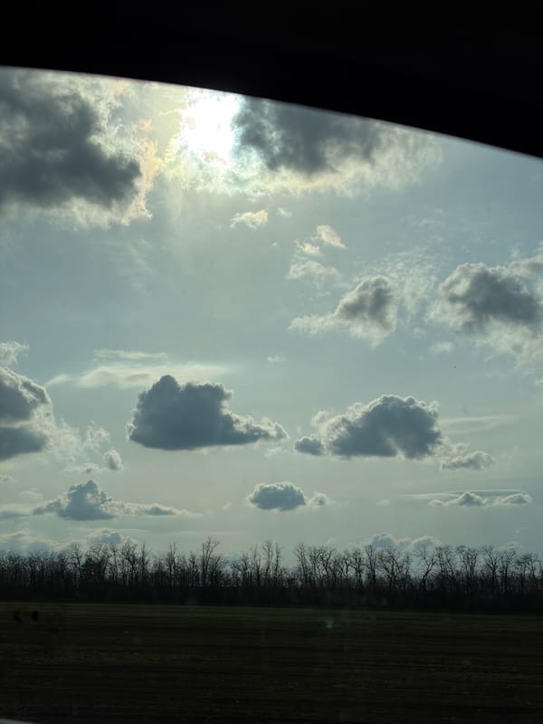 Landscape photo captured from vehicle near Timashevsk, Russia