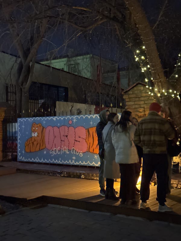 Nighttime documentation of Krasnoyarsk establishments and illuminated architecture