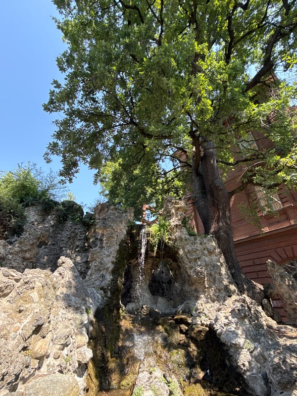 Morning in Parco del Valentino, Turin — riverside, rowing, and palace