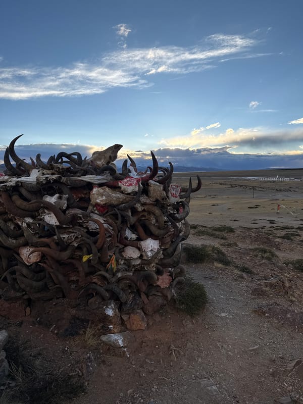 Tibetan religious sites and artifacts documented in Parga town