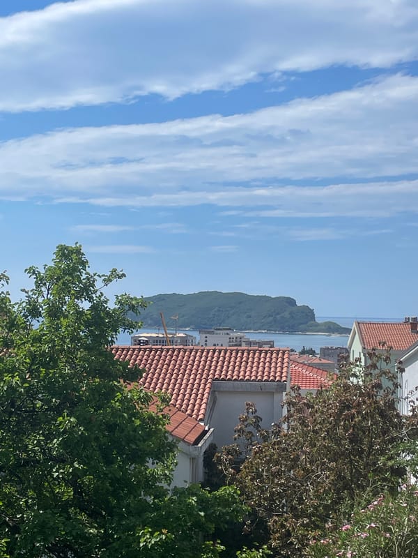 Morning coastal views and citrus trees documented in Budva