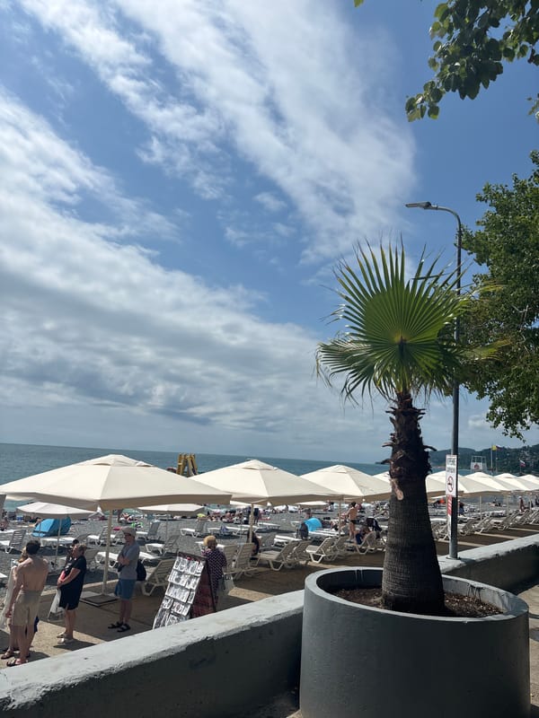 Sochi's Black Sea beach in full summer swing