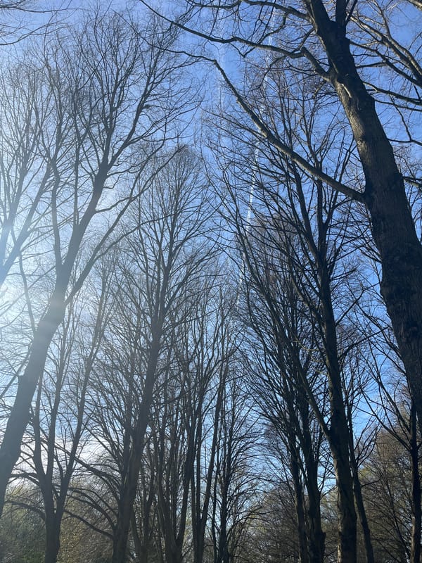 Spring afternoon walk documented in Maastricht park pathway