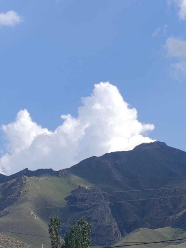 Horses, mountains, and monuments in Naryn City, Kyrgyzstan