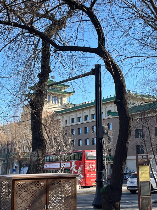 Daily life scenes documented across Changchun City neighborhoods