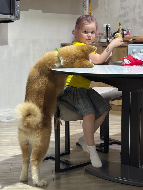 Quiet afternoon moments captured in Chaikovsky, Russia