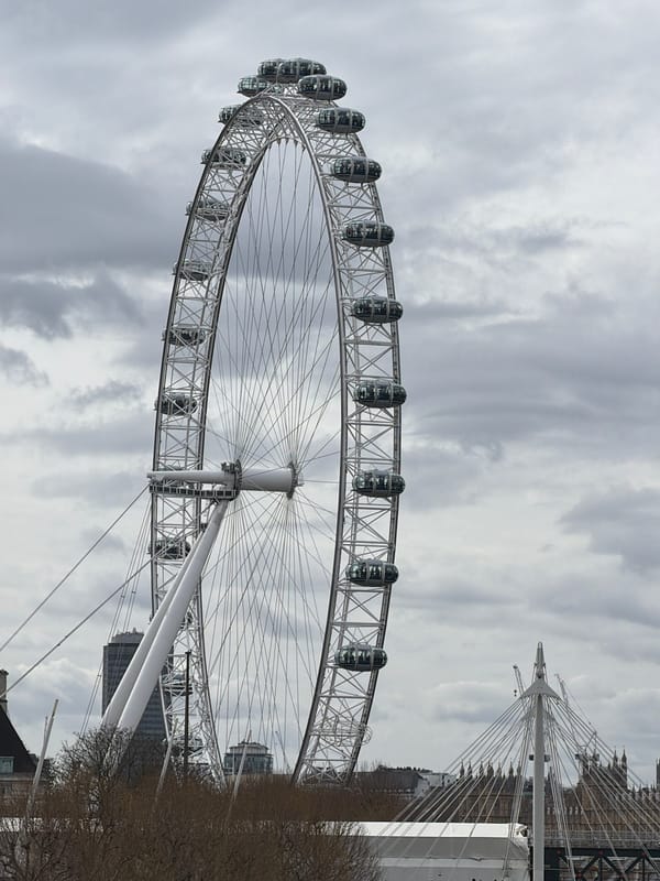 London Eye and city skyline captured by witnesses
