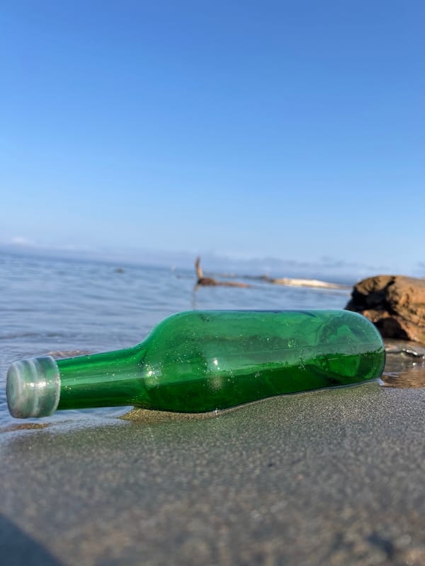 Beach scene on a Russian riverbank, bottle and runner