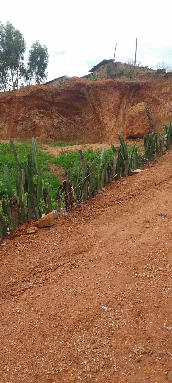 Daily life scenes documented across Jos, Nigeria neighborhoods