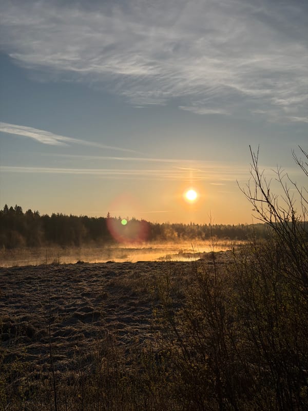 Dawn breaks over misty marsh landscape in Izhevsk