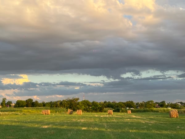 Summer afternoon in a hay-bale field, Novopokrovskaya