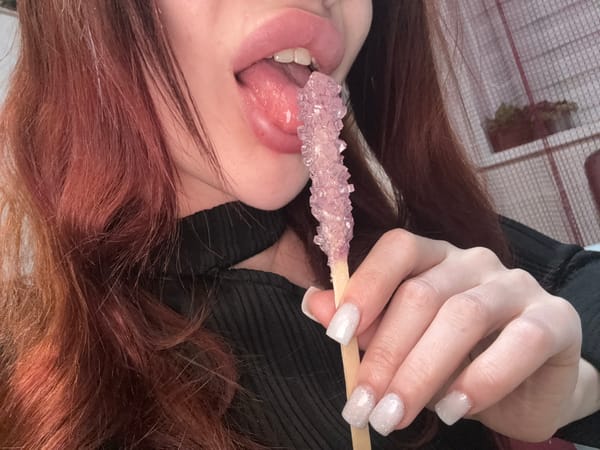 Siamese Cat Photo Session Documented in Simferopol Home