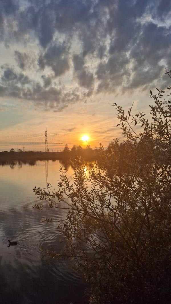 Family enjoys golden hour lakeside outing in Innolovo, Russia