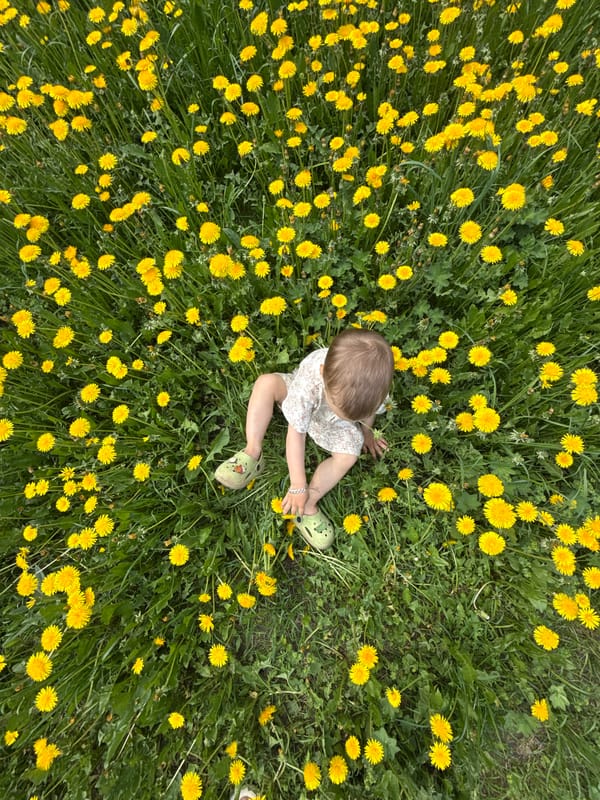 Child sits in dandelion field in Rusanovo, Russia