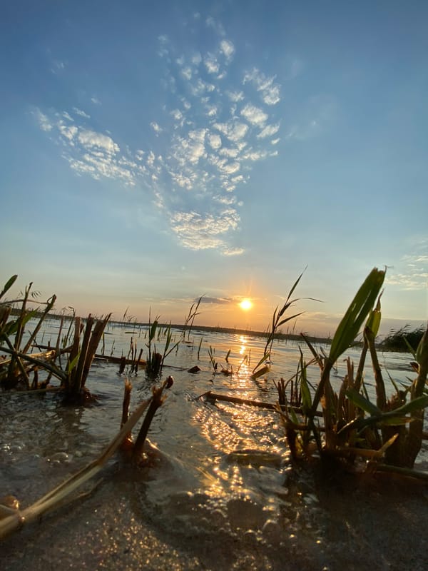 Sunset by the water: lakeside relaxing and a live piano performance