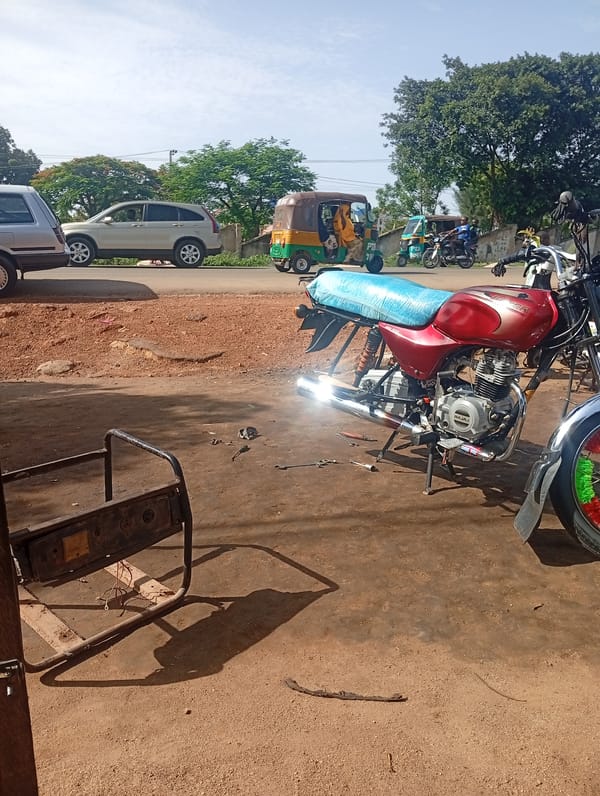 Daily life scenes documented in Rafin Par, Nigeria