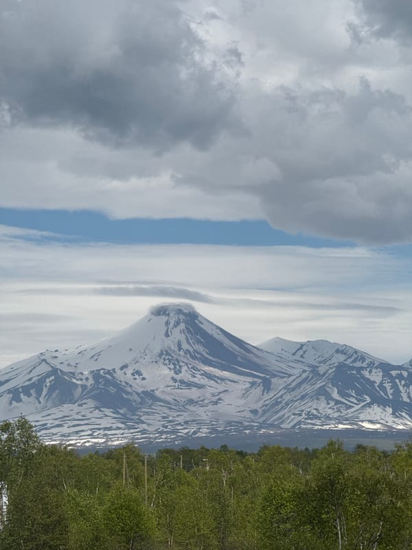 Snow-capped Kamchatka volcanoes loom over dense forest near Yelizovo