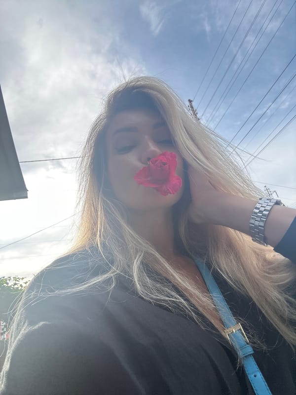 Pink rose, poodle, and a church under construction in Armavir